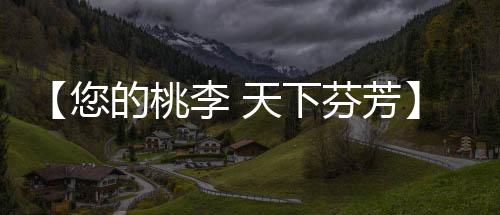 【您的桃李 天下芬芳】庄帅帅：特别的爱给特别的你