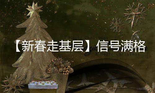 【新春走基层】信号满格保障春节万家“团圆”