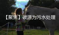 【聚焦】碳源为污水处理中重要原料之一 新型碳源研究热情较高
