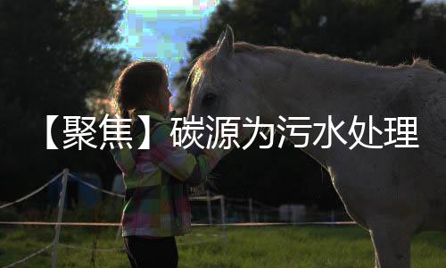 【聚焦】碳源为污水处理中重要原料之一 新型碳源研究热情较高