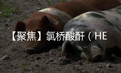 【聚焦】氯桥酸酐（HET酸酐）属于反应型阻燃剂 我国是全球主要生产和消费国