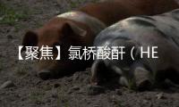 【聚焦】氯桥酸酐（HET酸酐）属于反应型阻燃剂 我国是全球主要生产和消费国