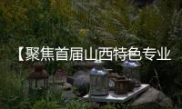 【聚焦首届山西特色专业镇投资贸易博览会】临汾：特色产品 琳琅满目