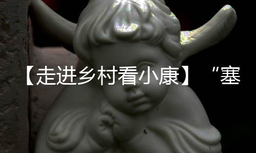 【走进乡村看小康】“塞上小江南” 幸福农家人