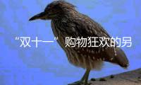 “双十一”购物狂欢的另一面：沉重的环境代价