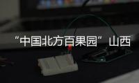 “中国北方百果园”山西运城：人勤春来早 果树管护忙