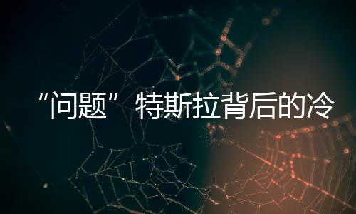 “问题”特斯拉背后的冷思考：节能环保可以无节操？