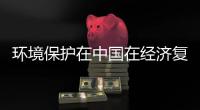 环境保护在中国在经济复苏中的作用