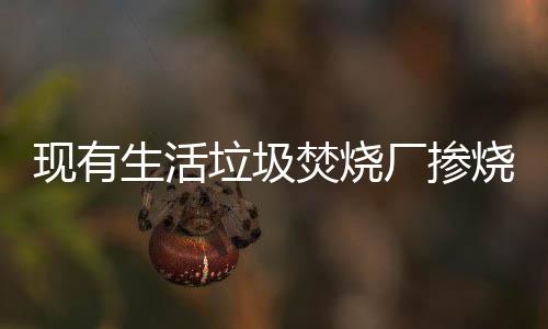 现有生活垃圾焚烧厂掺烧工业固废及其垃圾池管理分析