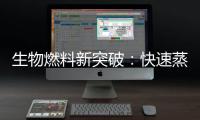 生物燃料新突破：快速蒸煮工艺可使藻类转换生物柴油