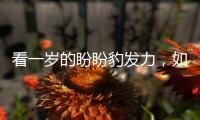 看一岁的盼盼豹发力，如何角逐功能饮料市场