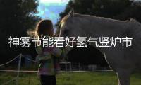 神雾节能看好氢气竖炉市场