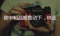 碳中和战略推动下，林业碳汇交易市场发展前景看好！