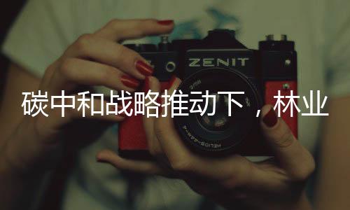 碳中和战略推动下，林业碳汇交易市场发展前景看好！