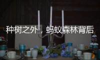 种树之外，蚂蚁森林背后的碳交易市场