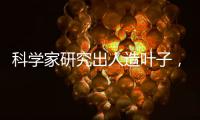 科学家研究出人造叶子，二氧化碳变废为宝