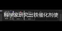 科学家研究出铁催化剂使氢化作用更环保的技术