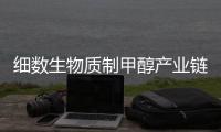 细数生物质制甲醇产业链：有哪些关键企业？