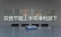 双良节能上半年净利润下滑100% 未来谋求节能环保扩张
