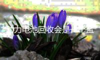 动力电池回收会是一个蓝海市场吗？