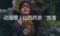 动海报｜山西药茶“飘香”服贸会！
