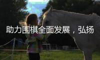 助力围棋全面发展，弘扬中华传统文化——2020年围甲联赛拉开战幕，民生信用卡北京队蓄势待发