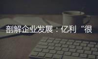 剖解企业发展：亿利“很土”