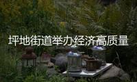 坪地街道举办经济高质量发展推进会