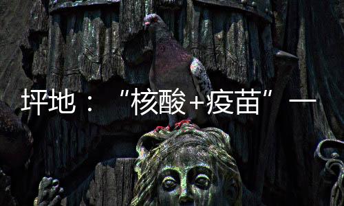 坪地：“核酸+疫苗”一站式服务 探索便民新模式