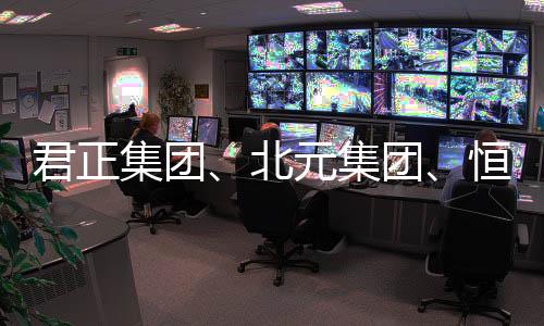 君正集团、北元集团、恒光股份，谁是盈利能力最强的氯碱企业？