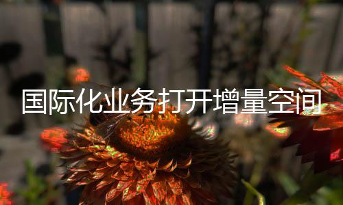 国际化业务打开增量空间 中国天楹东南亚再落重子