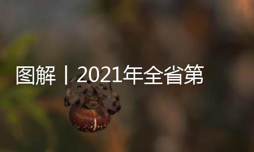图解丨2021年全省第七次旅游发展大会精彩抢鲜看！