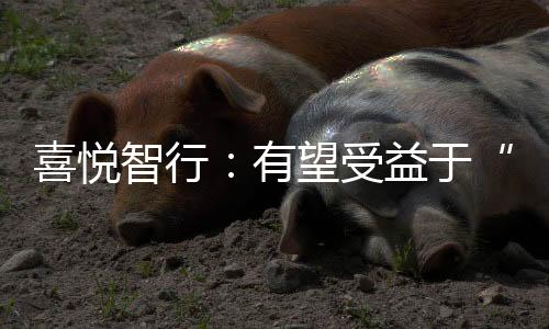 喜悦智行：有望受益于“双碳政策”，新募投项目即将启动