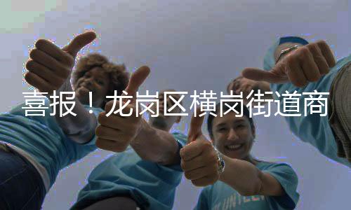 喜报！龙岗区横岗街道商会获评广东省工商联系统“四好”商会