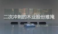 二次冲刺的木业股份难掩信披不清顽疾，营收净利双降