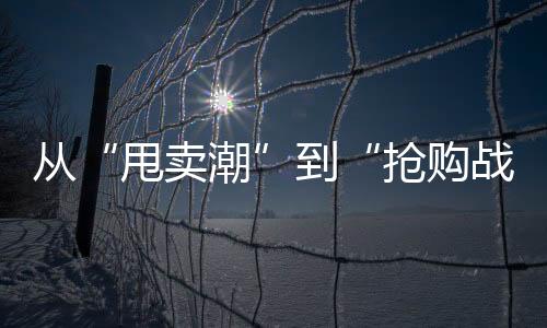 从“甩卖潮”到“抢购战”，绿证价格28倍震荡