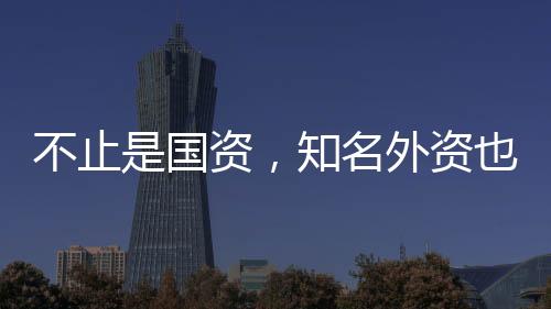 不止是国资，知名外资也盯上了云铝股份