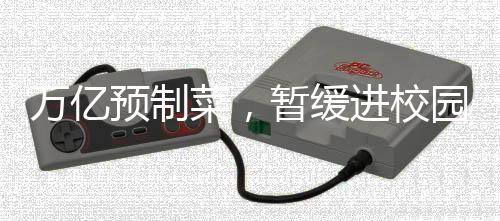 万亿预制菜，暂缓进校园