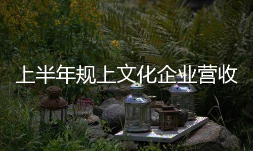 上半年规上文化企业营收同比增长7.4%