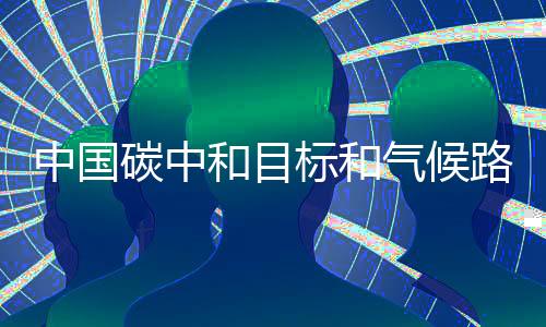 中国碳中和目标和气候路径报告