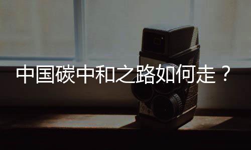 中国碳中和之路如何走？5位院士畅谈科技创新助力碳中和