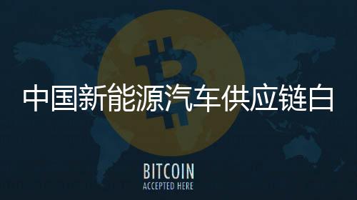 中国新能源汽车供应链白皮书2020