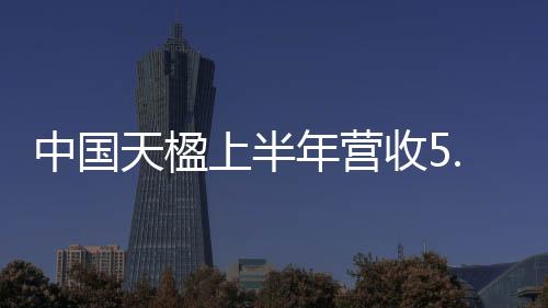 中国天楹上半年营收5.4亿元 环保设备业务增长208%