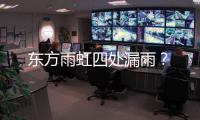 东方雨虹四处漏雨？