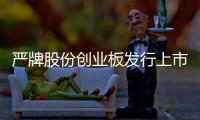 严牌股份创业板发行上市获受理：营业收入年复合增长率为27.47%