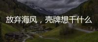 放弃海风，壳牌想干什么？