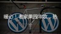 暖心！老家果园丰收，热心居民为防疫一线送来百余箱李子
