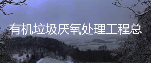 有机垃圾厌氧处理工程总图布局要点解析