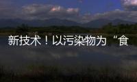 新技术！以污染物为“食”，微生物带来废水处理新思路