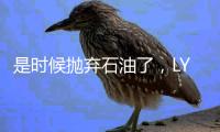 是时候抛弃石油了，LY混动车与沼气的完美结合（中篇）